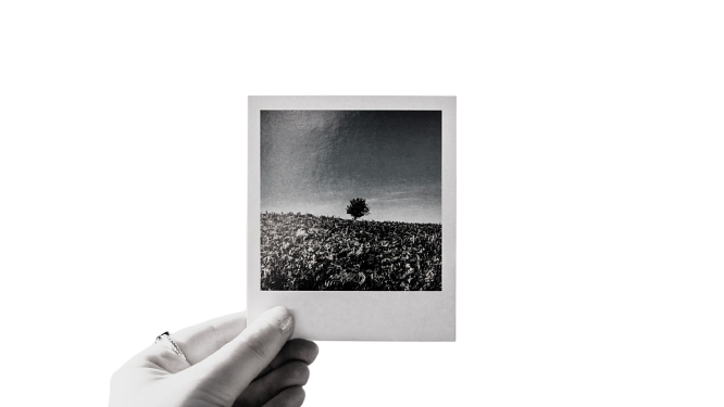 photographe