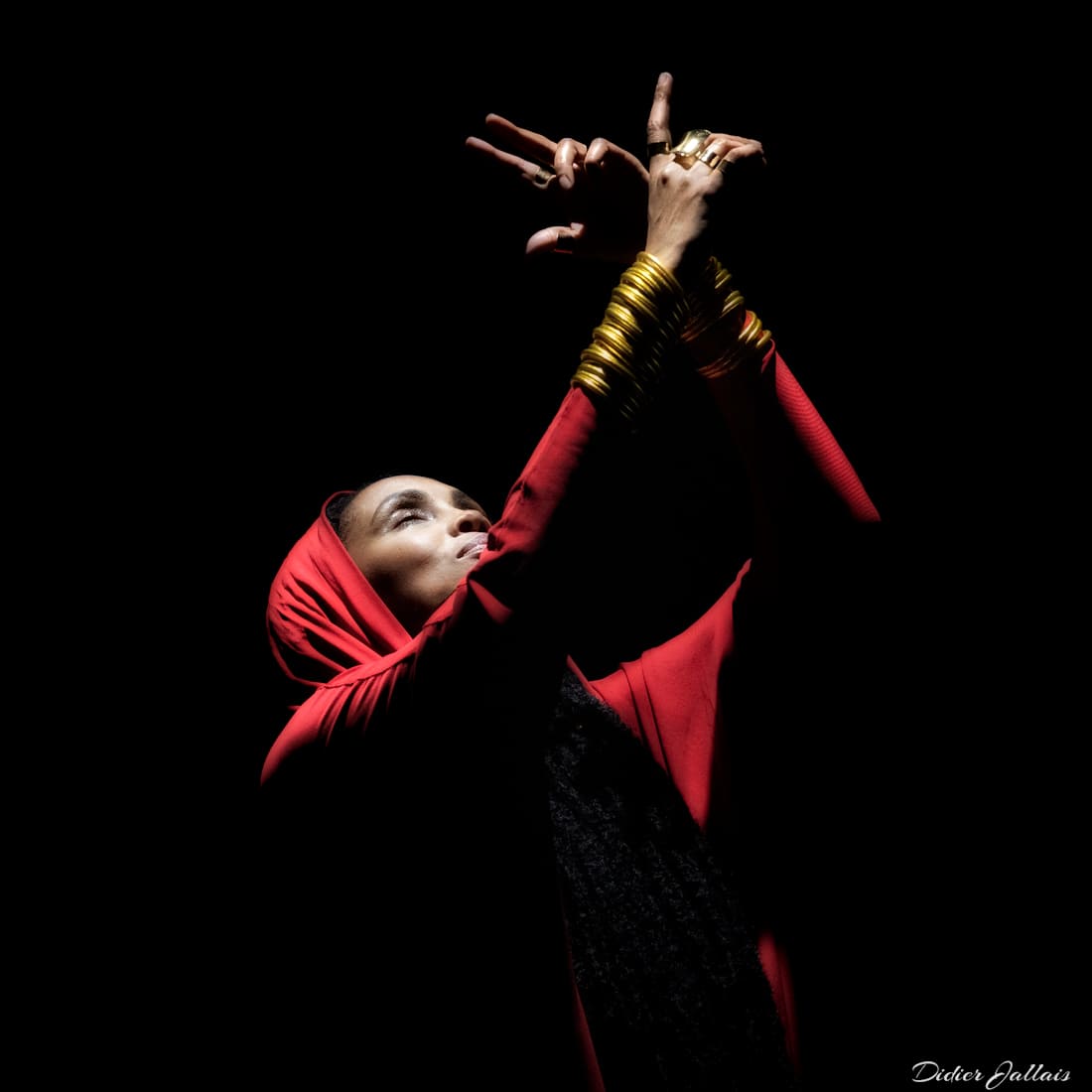 photo concert de Imany de Didier Jallais